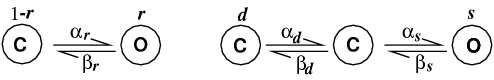 T channel kinetics